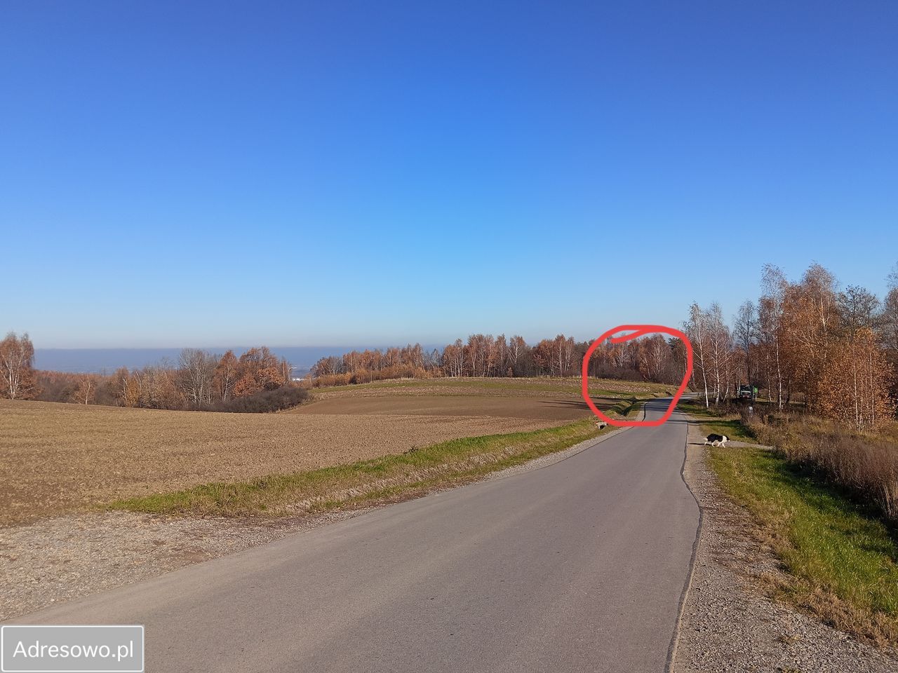 Działka budowlana Malawa. Zdjęcie 5