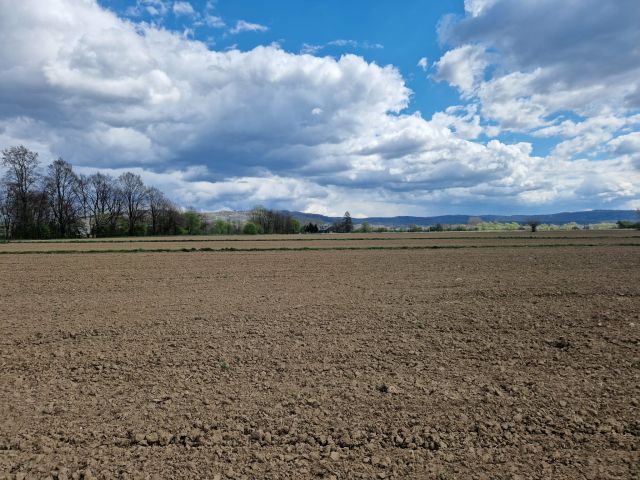 Działka budowlana Pilzno, ul. Grottgera. Zdjęcie 16