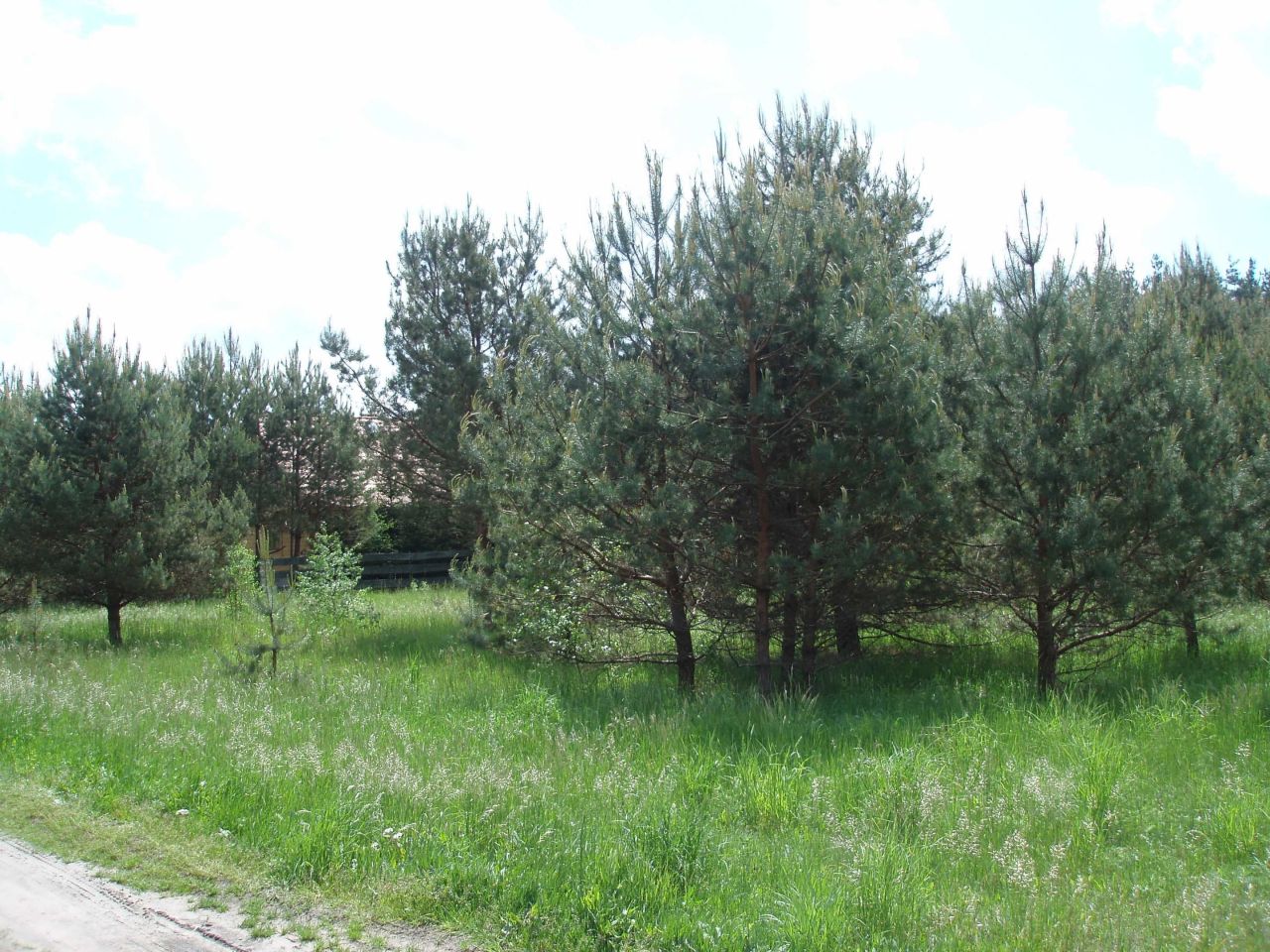 Działka budowlana Natać Wielka. Zdjęcie 8