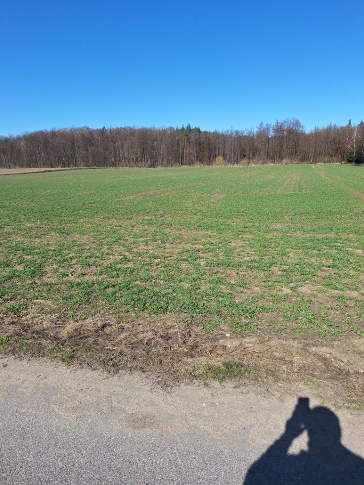 Działka budowlana Czajcze. Zdjęcie 4