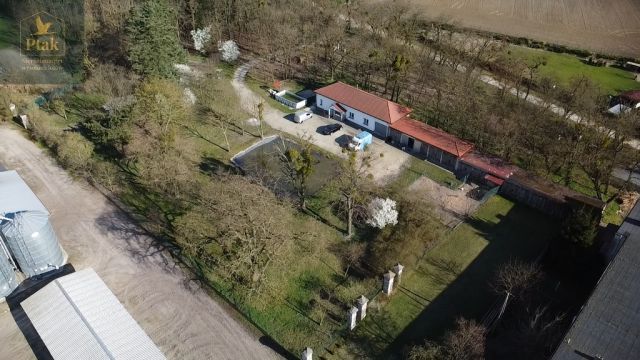 inny, 3 pokoje Luciny. Zdjęcie 17