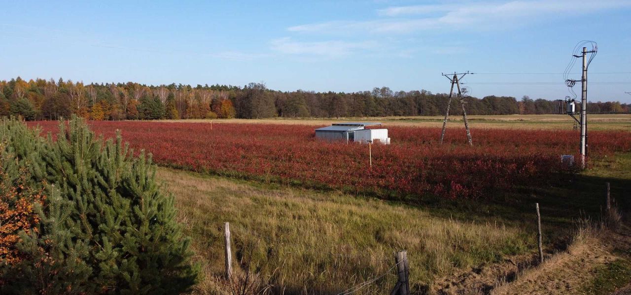 Działka rolno-budowlana Bukowo, ul. Wiejska. Zdjęcie 6
