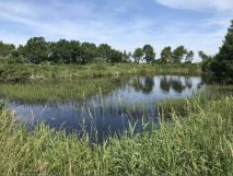 Działka rolno-budowlana Bałamątek, ul. Spacerowa. Zdjęcie 2