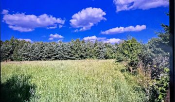 Działka rolno-budowlana Kolonia Piaski