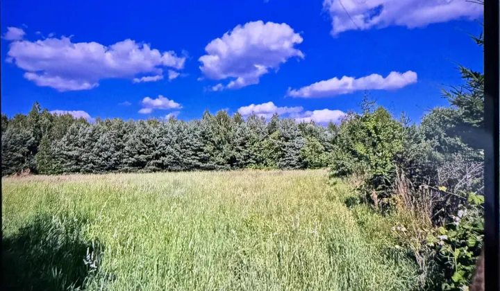 Działka rolno-budowlana Kolonia Piaski