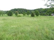 Działka budowlana Dąbrowica. Zdjęcie 2