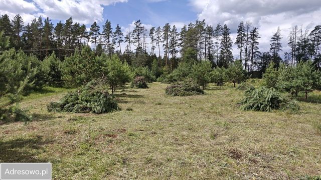 Działka budowlana Serski Las. Zdjęcie 1