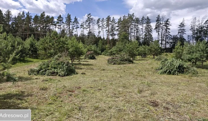 Działka budowlana Serski Las