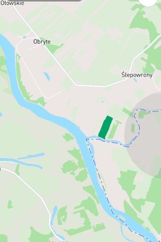 Działka rolna Ślepowrony. Zdjęcie 2