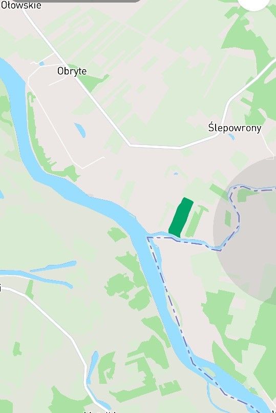 Działka rolna Ślepowrony. Zdjęcie 2