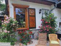 dom wolnostojący, 5 pokoi Zachełmie. Zdjęcie 4