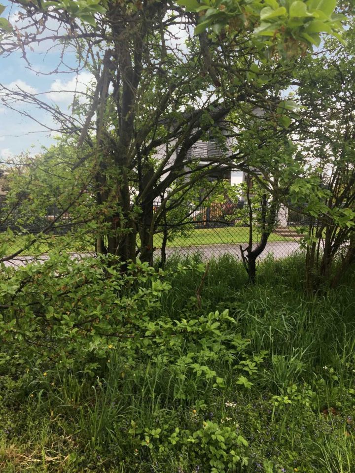 Działka budowlana Sadów. Zdjęcie 5