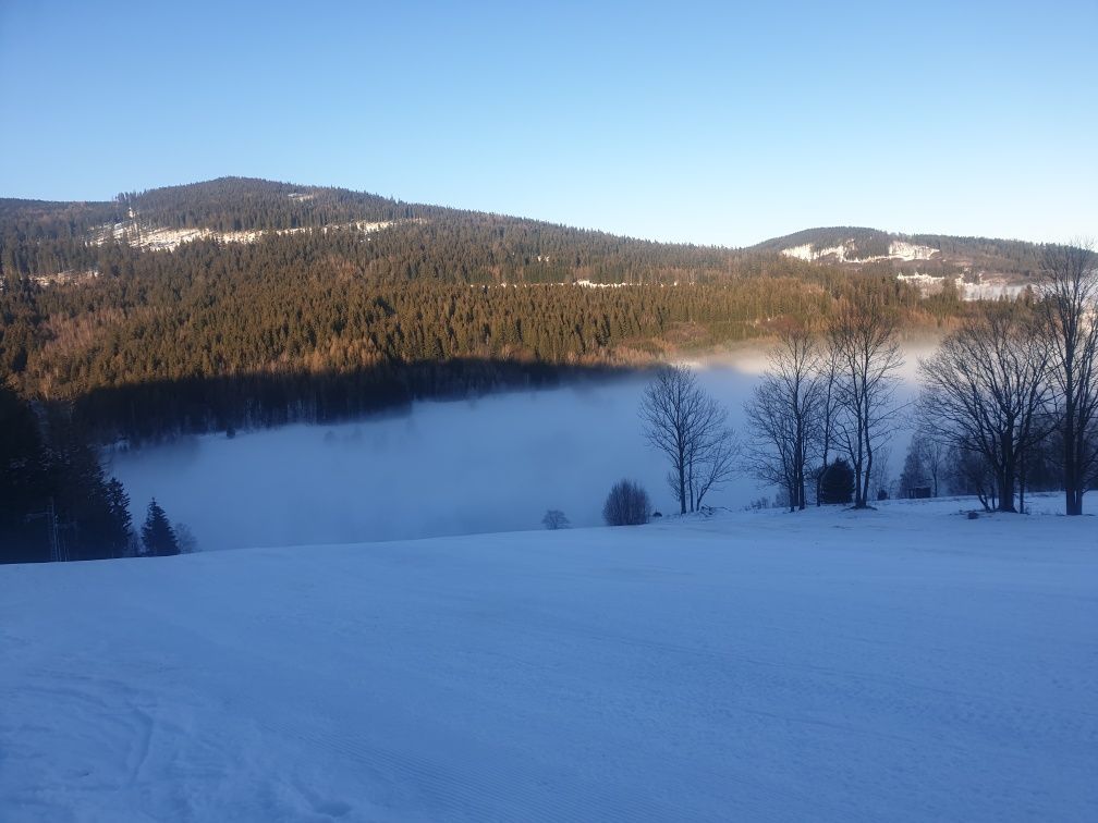 Działka rolna Bolesławów. Zdjęcie 6