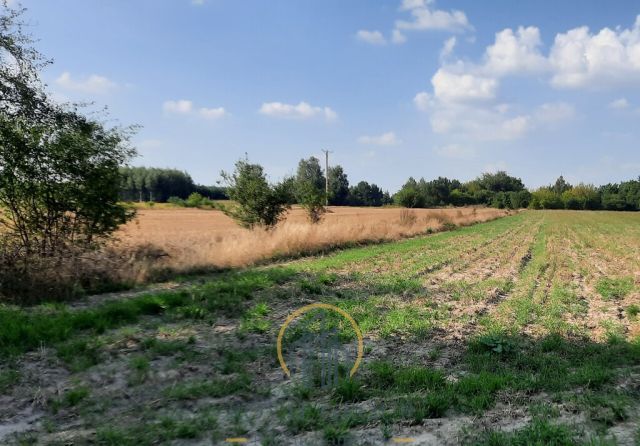 Działka rolna Rudno. Zdjęcie 4