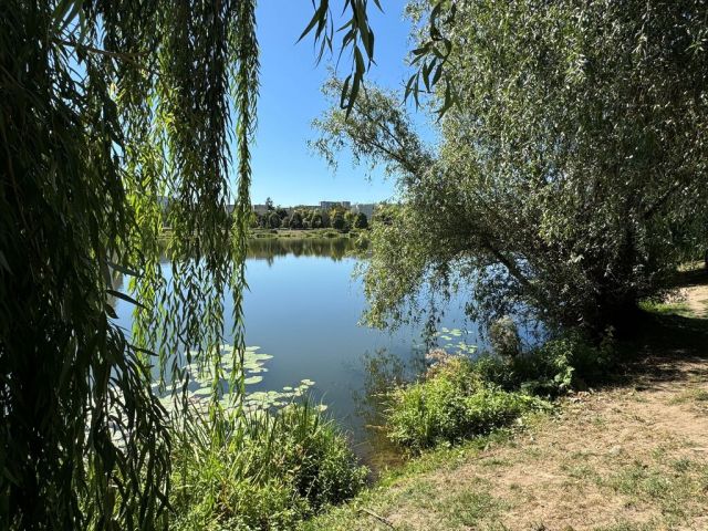 Mieszkanie 3-pokojowe Warszawa, ul. Międzyborska. Zdjęcie 22