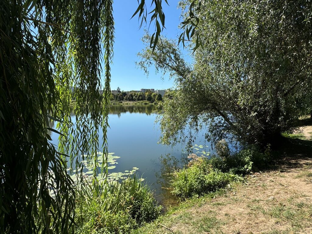 Mieszkanie 3-pokojowe Warszawa, ul. Międzyborska. Zdjęcie 22