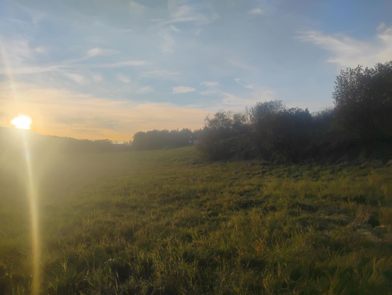 Działka budowlana Radochów. Zdjęcie 9