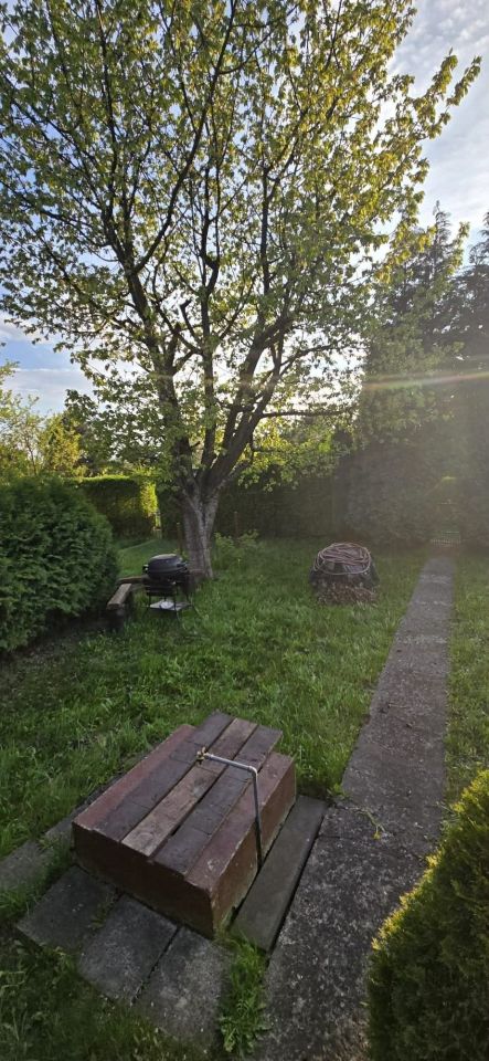 Działka rod Będzin Górki Małobądzkie. Zdjęcie 4