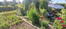 Działka rod Gdańsk Rębiechowo, ul. Nowatorów. Zdjęcie 2