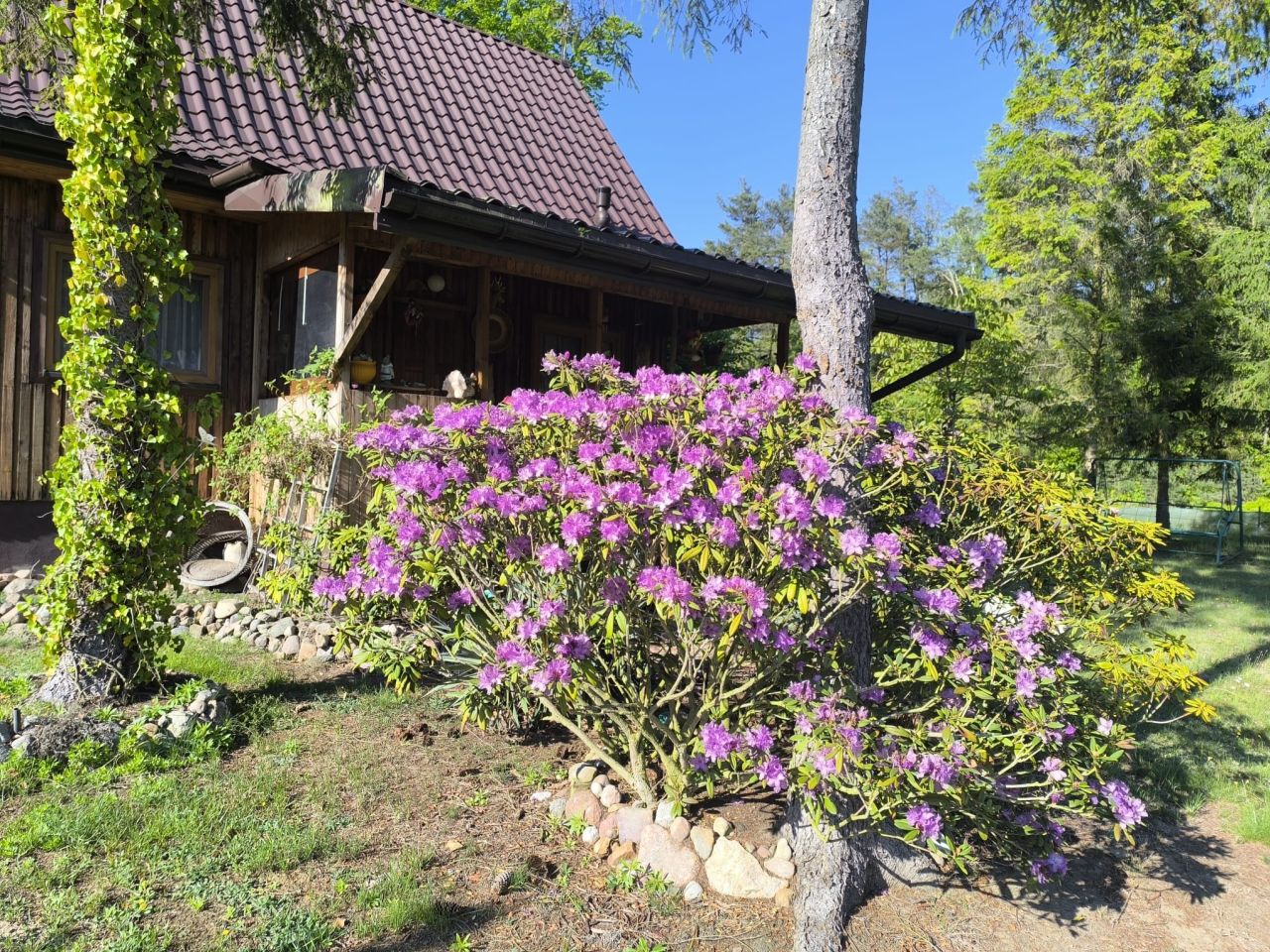 dom wolnostojący, 2 pokoje Wola Cyrusowa-Kolonia. Zdjęcie 2
