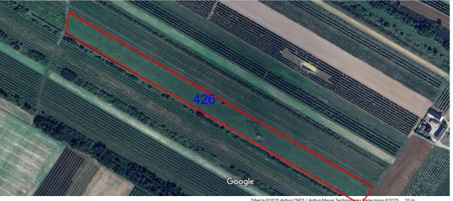 Działka rolna Przybysławice. Zdjęcie 1