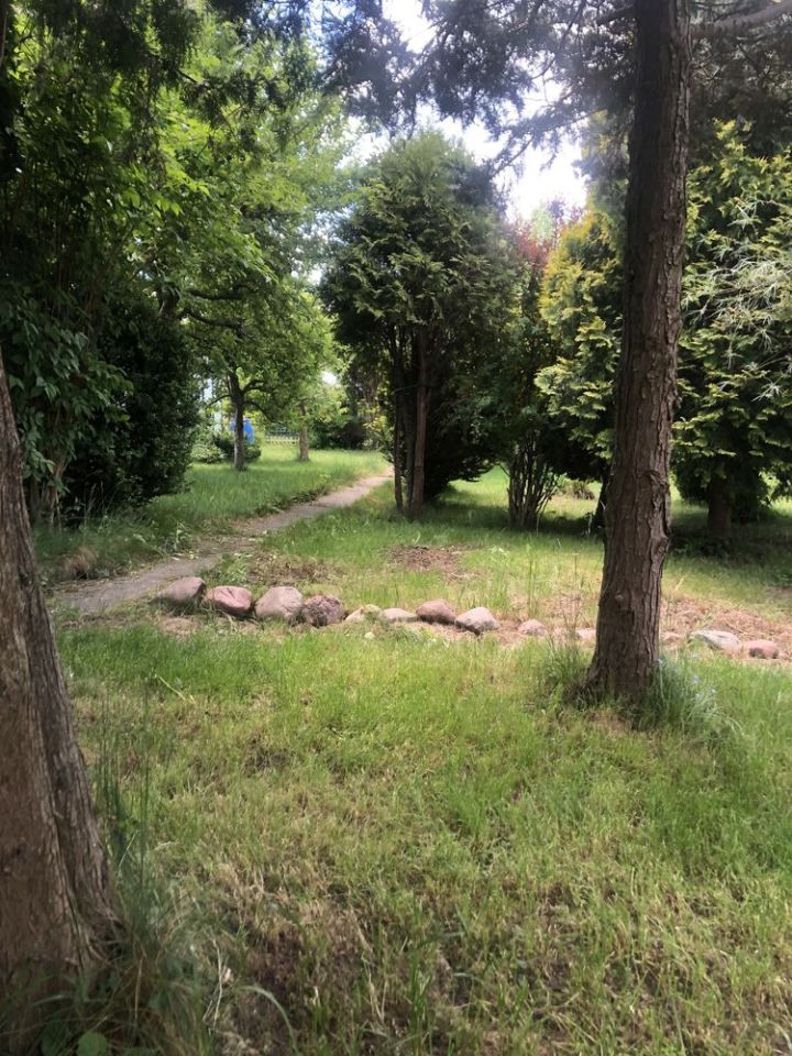 Działka rod Ełk, ul. gen. Władysława Sikorskiego. Zdjęcie 4