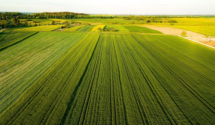 Działka rolno-budowlana Rembieszów