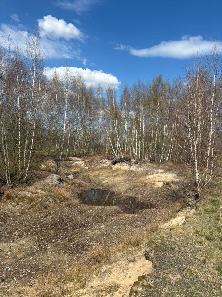 Działka rolna Komory, bez nazwy. Zdjęcie 6