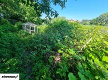 Mieszkanie 2-pokojowe Nowy Dwór Gdański, ul. Obrońców Westerplatte. Zdjęcie 2