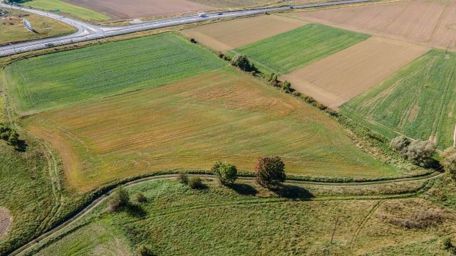 Działka inwestycyjna Wierzchosławice. Zdjęcie 11