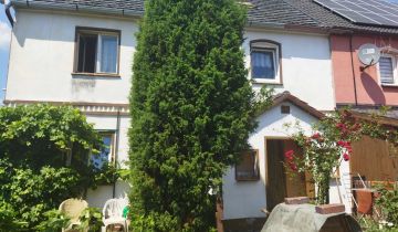 segmentowiec Czerna