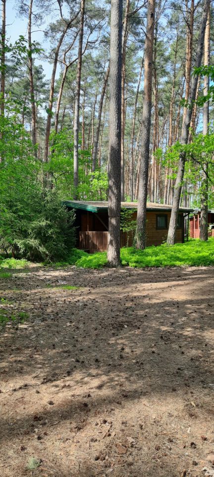 dom letniskowy, 3 pokoje Barcice Kępa Barcicka. Zdjęcie 5