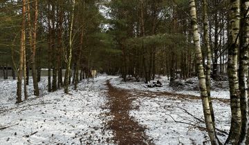 Działka budowlana Nekielka, ul. Jana Pawła II