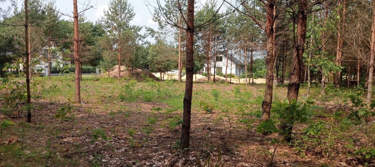 Działka budowlana Święte Laski. Zdjęcie 3