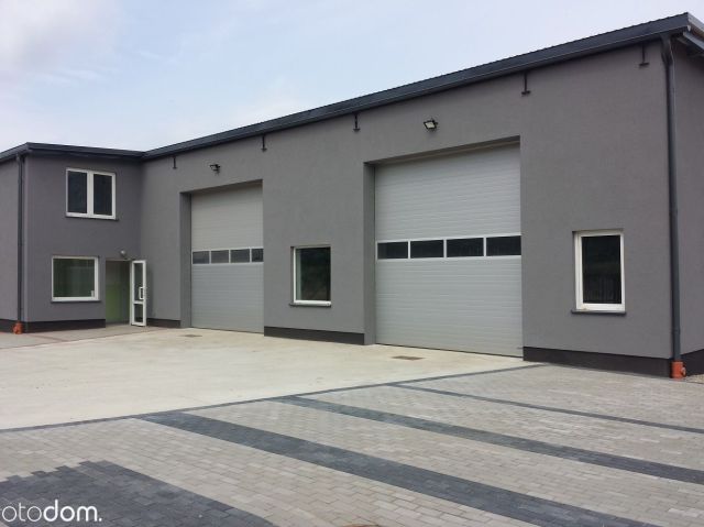 Hala/magazyn Reda Pieleszewo, ul. Zielarzy. Zdjęcie 7