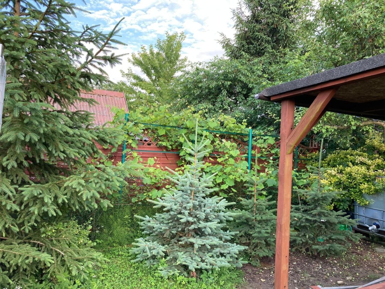 Działka rod Września, ul. Działkowców. Zdjęcie 7