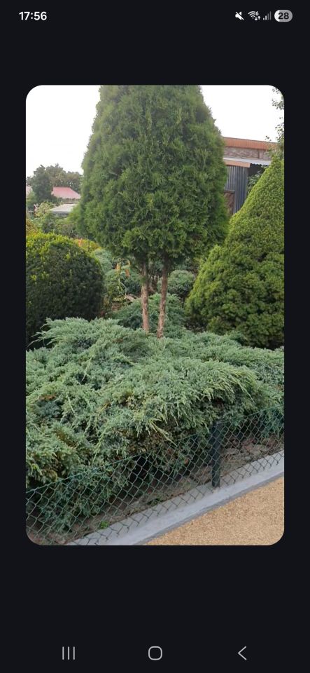 Działka rod Złotów, ul. Jastrowska. Zdjęcie 17