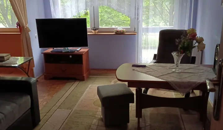 Mieszkanie 4-pokojowe Zduńska Wola Osmolin, ul. Zielona