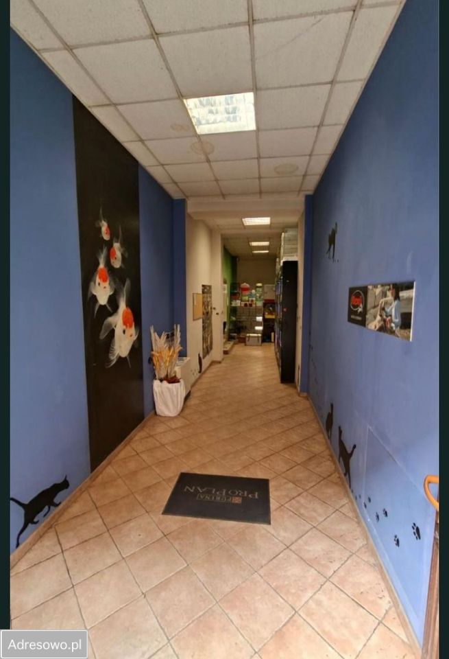 Lokal Świdnica, ul. Franciszkańska. Zdjęcie 4