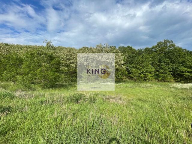 Działka rolna Czermnica. Zdjęcie 1