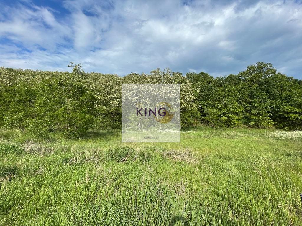 Działka rolna Czermnica. Zdjęcie 1