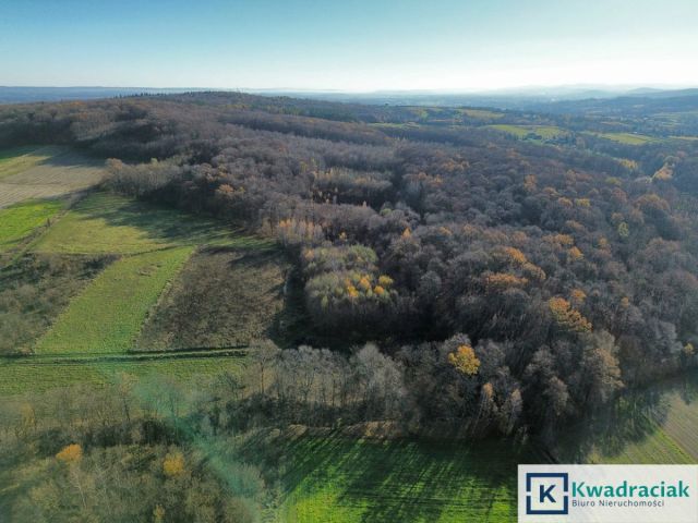 Działka rolna Podniebyle. Zdjęcie 7