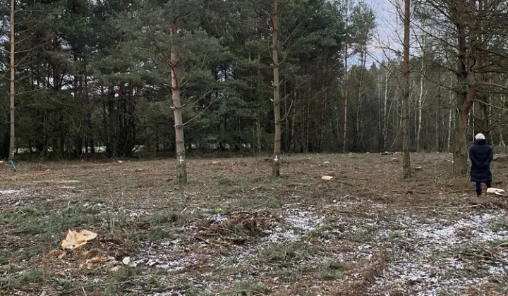 Działka rolno-budowlana Ruda-Pniewnik