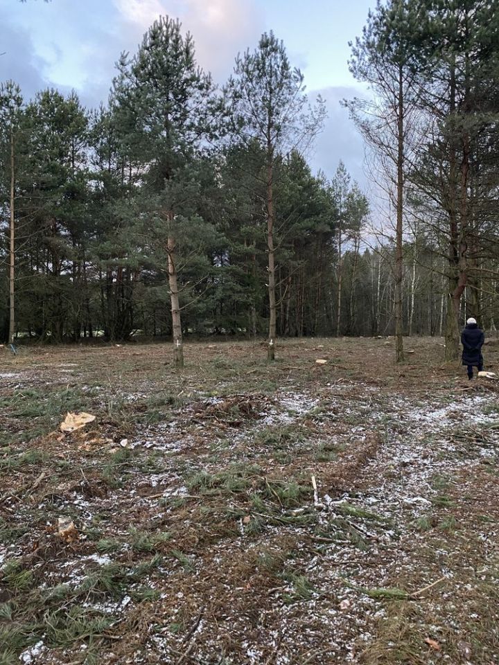 Działka rolno-budowlana Ruda-Pniewnik