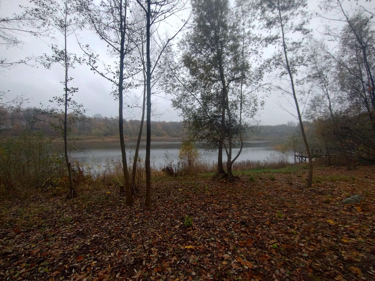 Działka rekreacyjna Parlino, Parlino. Zdjęcie 5