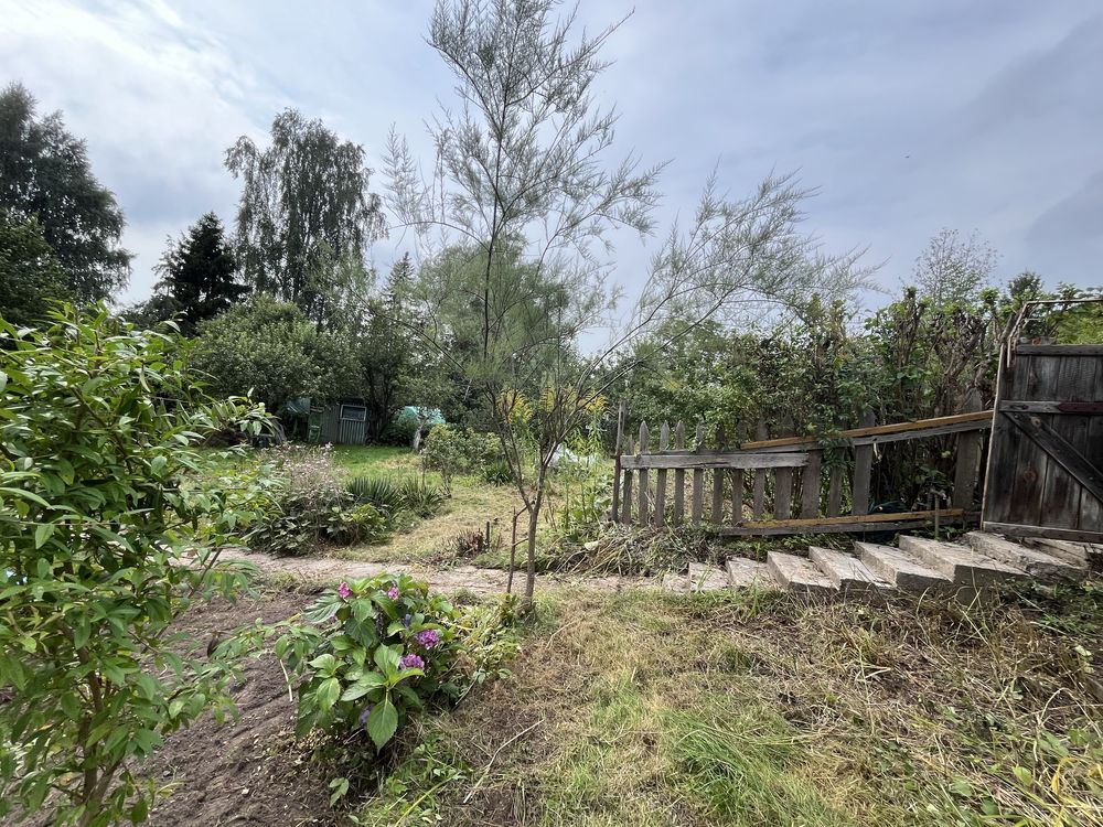 Działka rod Gdańsk Brętowo. Zdjęcie 8