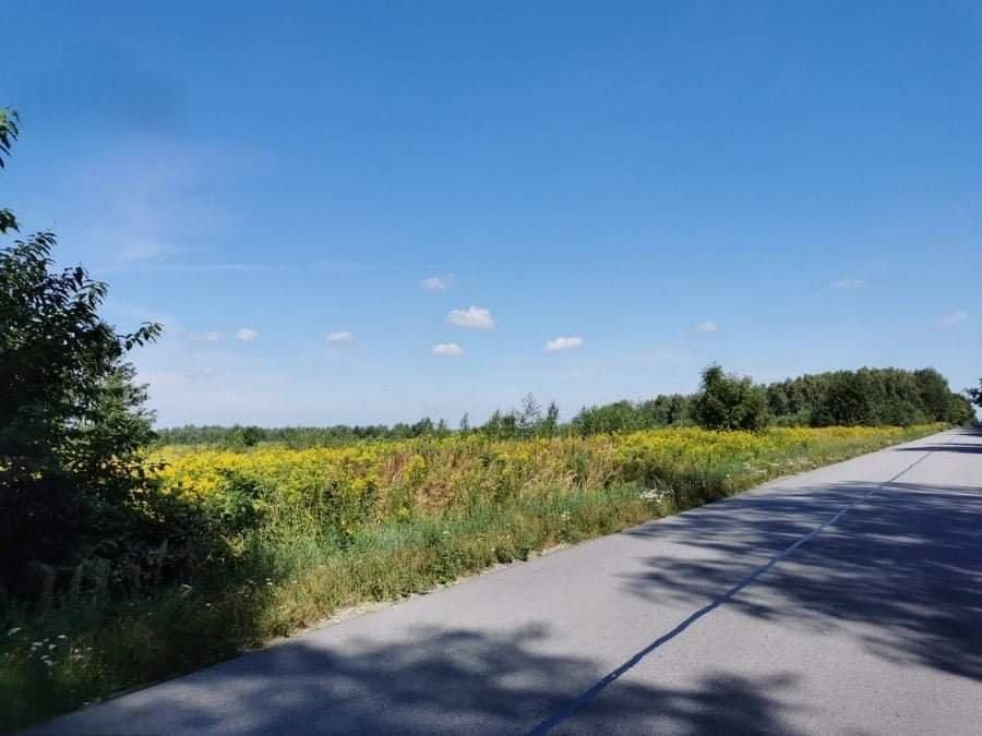 Działka budowlana Złotów. Zdjęcie 5