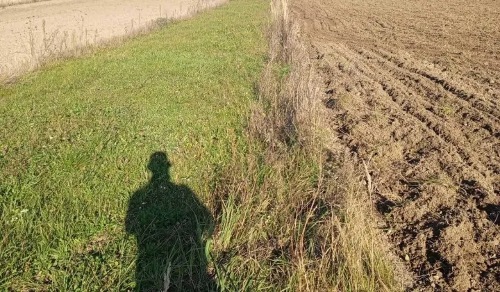 Działka budowlana Polnica