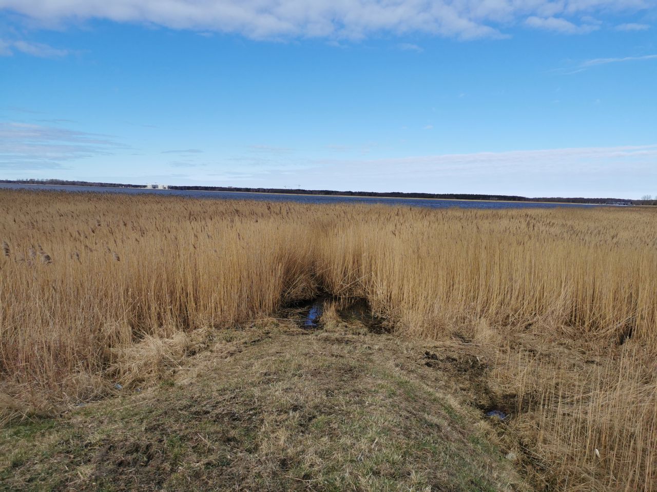 Działka rolna Karcino. Zdjęcie 3