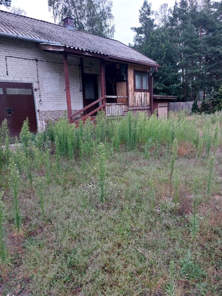 dom wolnostojący Trzcianka. Zdjęcie 3